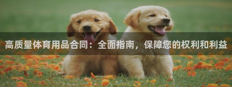 欧陆娱乐测速网站：高质量体育用品合同：全面指南，保障