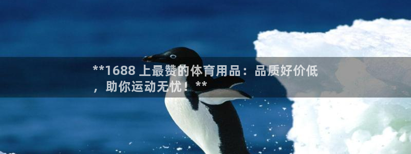 欧陆娱乐官网首页下载：**1688 上最赞的体育用品