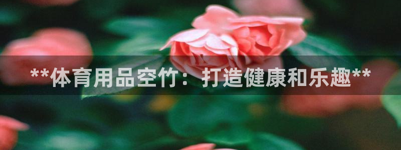 欧陆娱乐有限公司：**体育用品空竹：打造健康和乐趣*