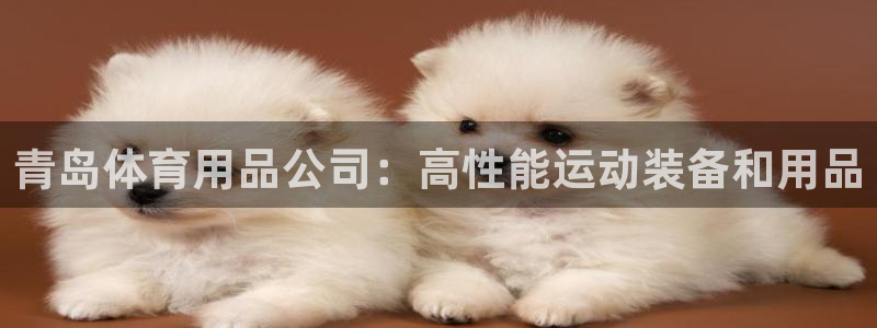 欧陆娱乐注册代理：青岛体育用品公司：高性能运动装备和用品