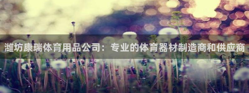 欧陆娱乐公司产品介绍大全：潍坊康瑞体育用品公司：专业