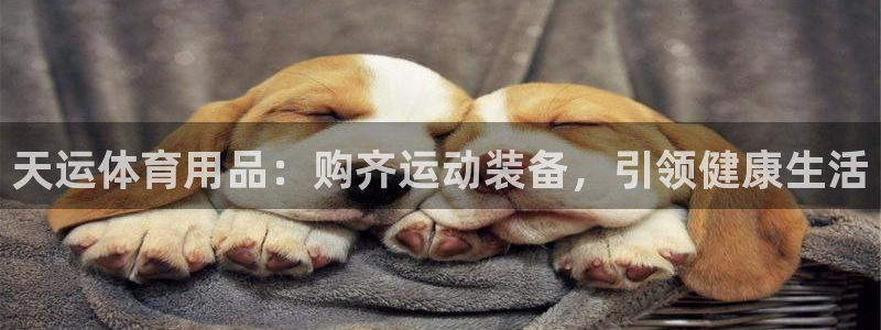 欧陆娱乐代理 贴吧：天运体育用品：购齐运动装备，引领健康生活