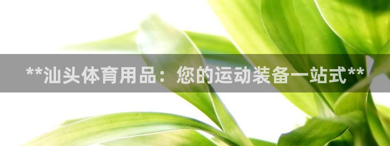 欧陆娱乐注册代理多少钱一年：**汕头体育用品：您的运