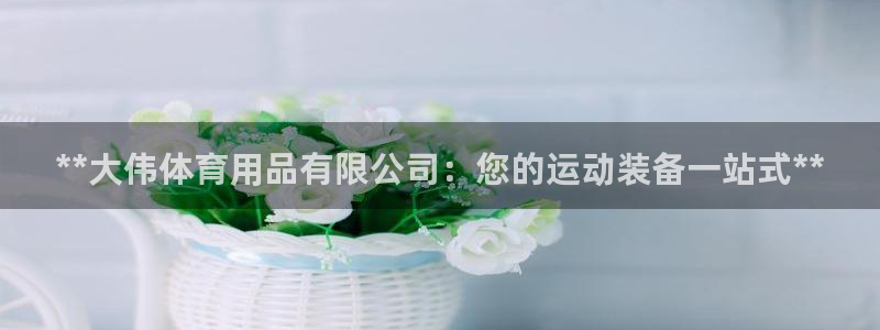 欧陆娱乐的故事：**大伟体育用品有限公司：您的运动装