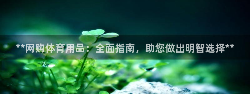 欧陆娱乐登录测速：**网购体育用品：全面指南，助您做出明智选