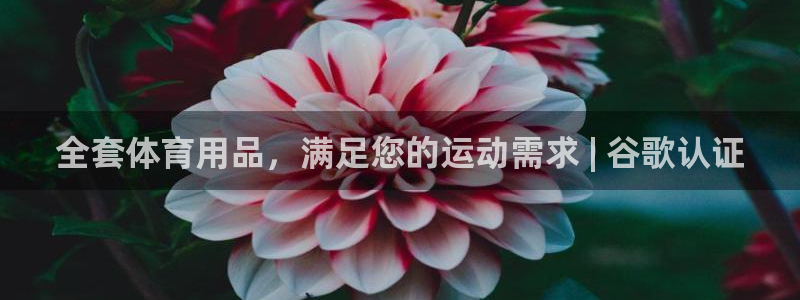 欧陆娱乐平台登陆地址在哪里：全套体育用品，满足您的运动需求 
