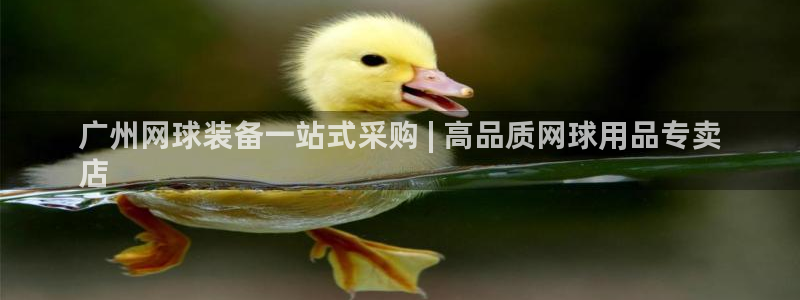 欧陆娱乐总代理