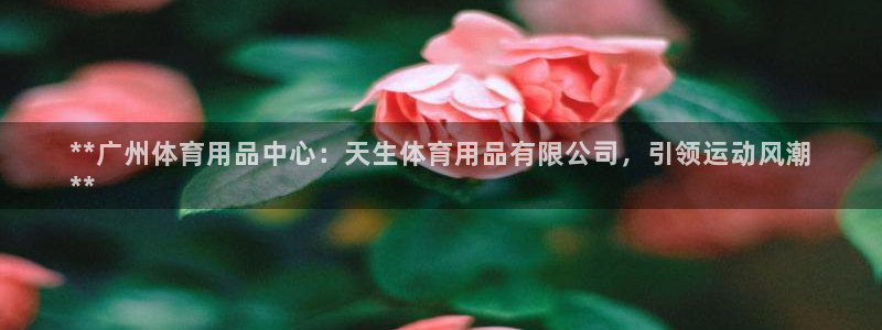 欧陆娱乐是正规平台吗安全吗知乎文章：**广州体育用品中心：天