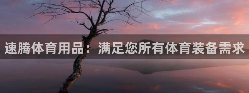 欧陆娱乐注册平台：速腾体育用品：满足您所有体育装备需求