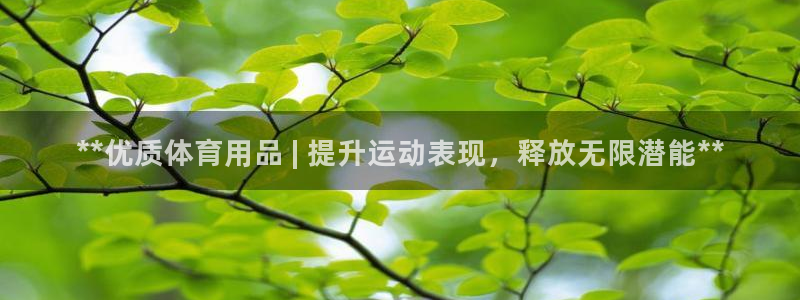 欧陆娱乐有限公司怎么样：**优质体育用品 | 提升运动表现，