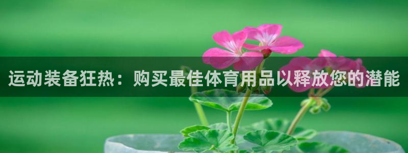 欧陆娱乐平台咋样：运动装备狂热：购买最佳体育用品以释放您的潜
