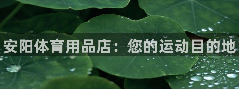 欧陆娱乐有限公司招聘：安阳体育用品店：您的运动目的地