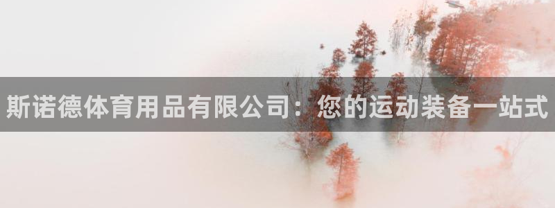 欧陆娱乐官网入口下载：斯诺德体育用品有限公司：您的运