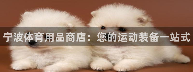 欧陆娱乐注册链接怎么弄的：宁波体育用品商店：您的运动