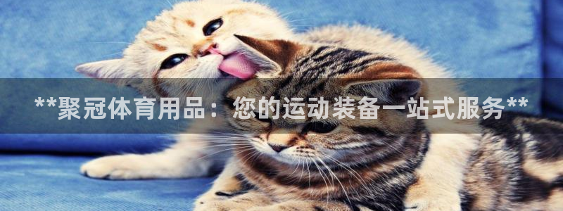 欧陆娱乐官网网址是多少：**聚冠体育用品：您的运动装