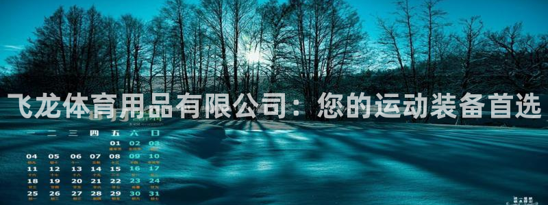 欧陆公司在哪里：飞龙体育用品有限公司：您的运动装备首