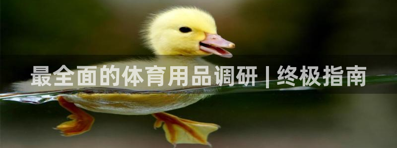 欧陆娱乐登陆官网入口