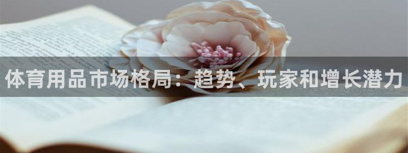 欧陆娱乐总代理电话：体育用品市场格局：趋势、玩家和增