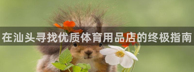 欧陆娱乐平台官网下载：在汕头寻找优质体育用品店的终极