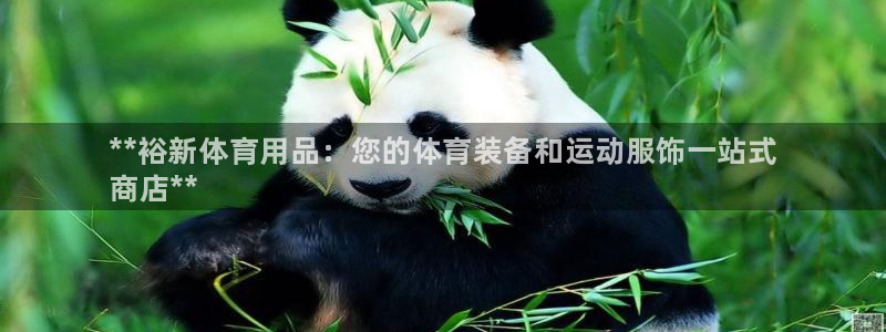 欧陆娱乐平台咋样赚钱快：**裕新体育用品：您的体育装