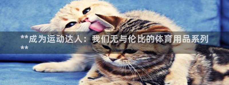 欧陆娱乐能不能玩：**成为运动达人：我们无与伦比的体育用品系