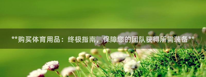 欧陆娱乐脚本下载