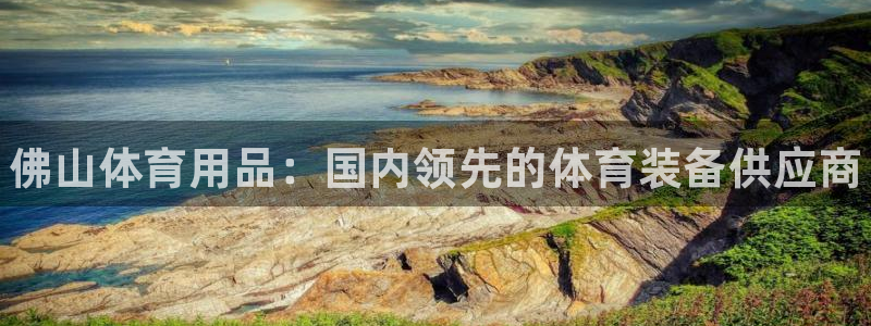 欧陆娱乐平台官网入口：佛山体育用品：国内领先的体育装备供应商
