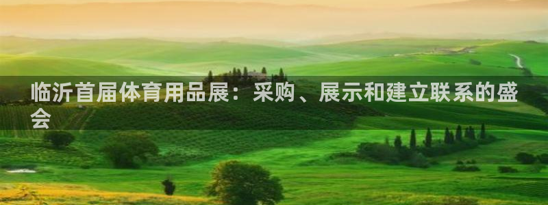 欧陆娱乐能不能玩手游：临沂首届体育用品展：采购、展示