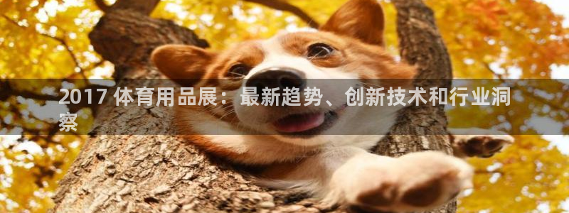 欧陆娱乐系统教程：2017 体育用品展：最新趋势、创