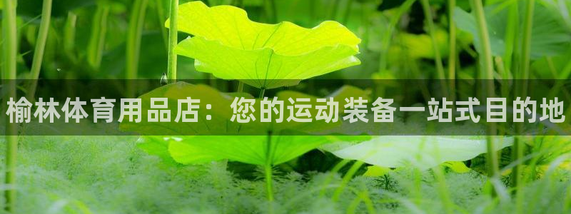 欧陆娱乐挂机怎么玩游戏