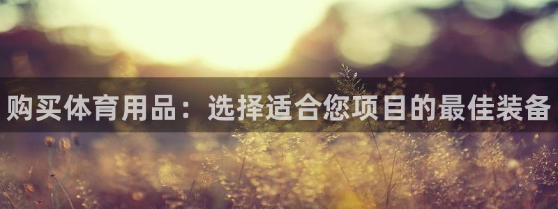 欧陆娱乐平台登录不上去怎么回事：购买体育用品：选择适合您项目