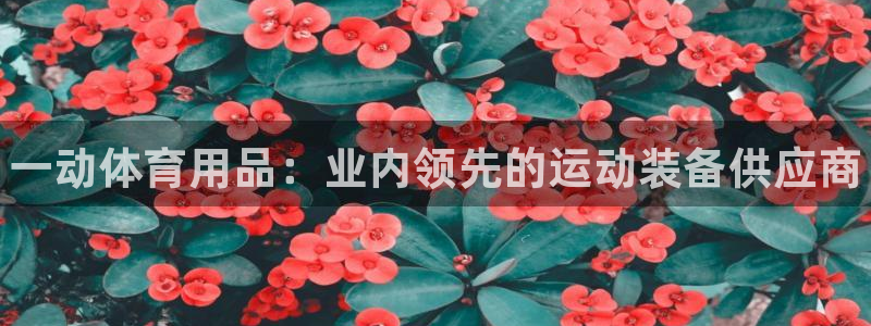 欧陆娱乐登录官网：一动体育用品：业内领先的运动装备供