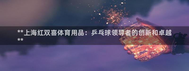 欧陆娱乐公司产品介绍大全：**上海红双喜体育用品：乒