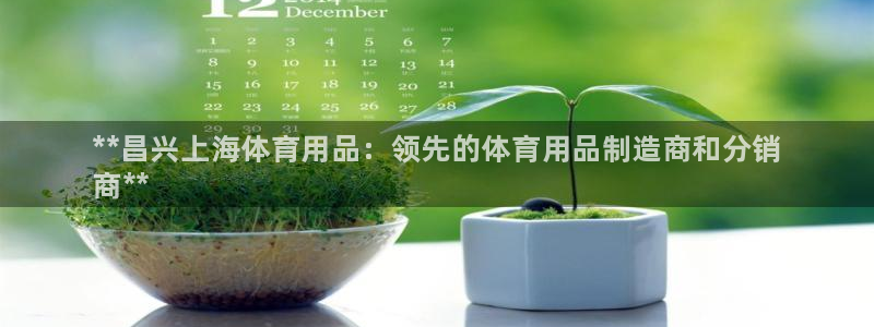 欧陆平台：**昌兴上海体育用品：领先的体育用品制造商