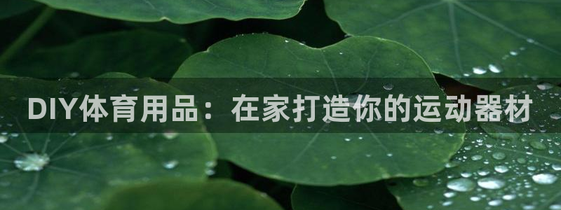 欧陆娱乐微信：DIY体育用品：在家打造你的运动器材