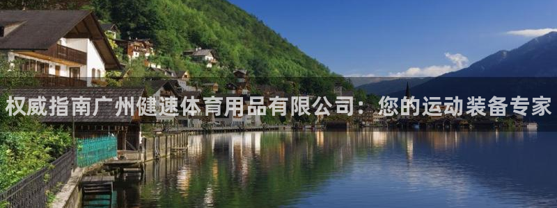 欧陆娱乐代理多少个点位啊：权威指南广州健速体育用品有