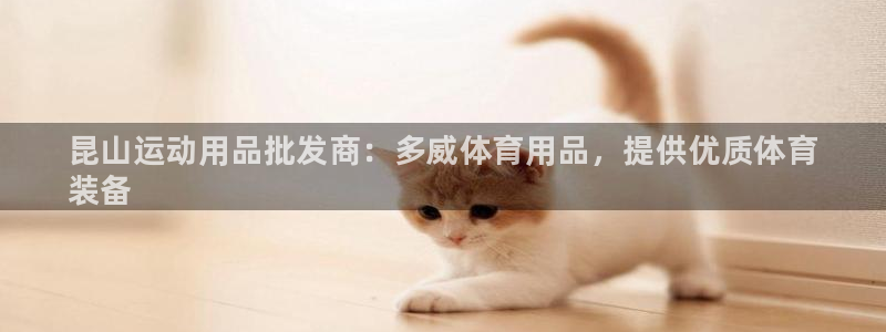 欧陆娱乐挂机项目怎么设置：昆山运动用品批发商：多威体