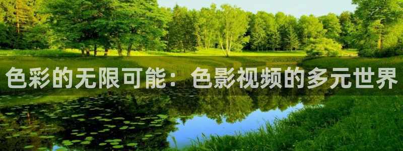 色婷婷影院十八影院：色彩的无限可能：色影视频的多元世界