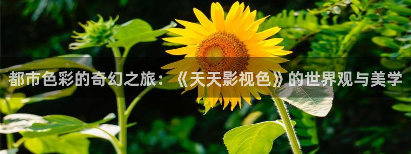 色婷婷电影网：都市色彩的奇幻之旅：《天天影视色》的世界观与美学