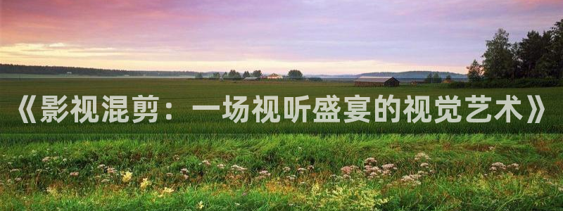 色婷婷福利影院：《影视混剪：一场视听盛宴的视觉艺术》