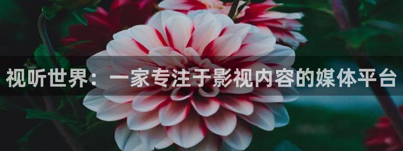 五月色婷婷影院在线：视听世界：一家专注于影视内容的媒体平台