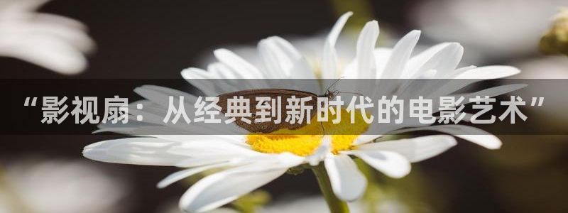 色婷婷综合影院：“影视扇：从经典到新时代的电影艺术”