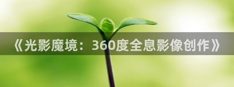 99影院色婷婷：《光影魔境：360度全息影像创作》