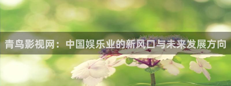 色婷婷亚洲影院：青鸟影视网：中国娱乐业的新风口与未来发展方向